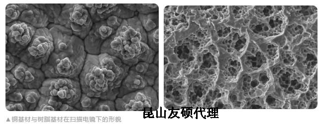 朔州蔡司朔州扫描电镜